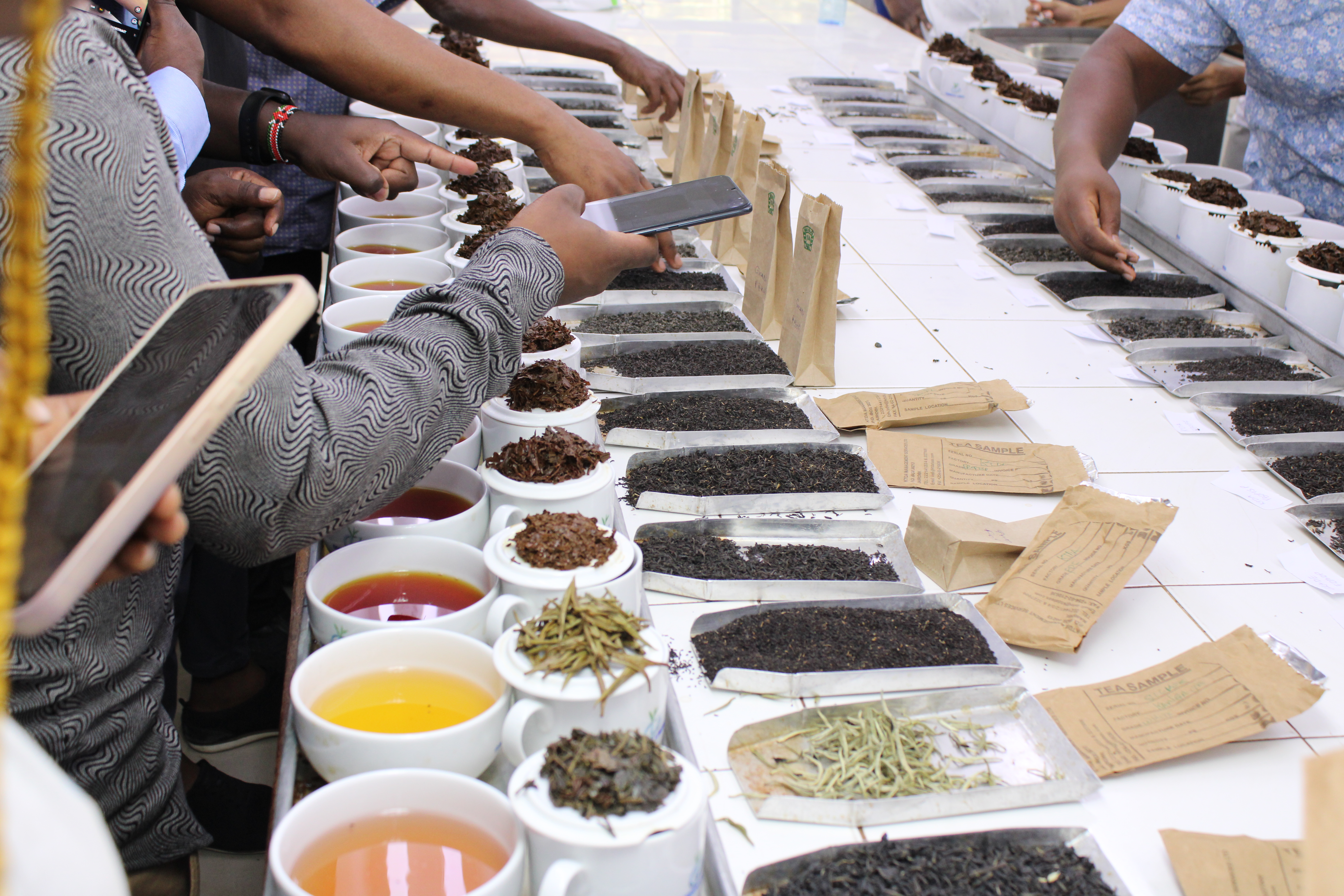 Excellence in Innovation